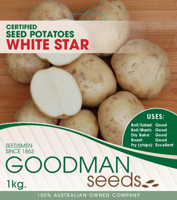 White Star - Goodman Seeds - Flower and Vegetable Seed, Greenhouses, Seed  Potatoes, Garden Equipment